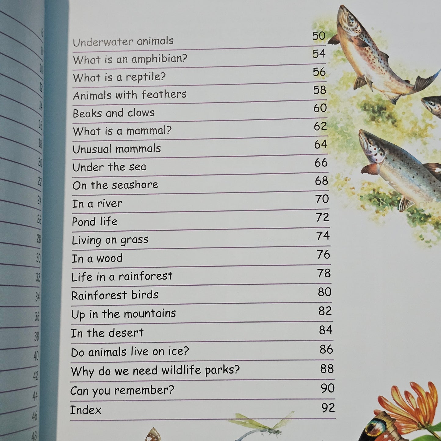 Explore And Learn The Natural Word