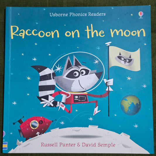 Racoon on the moon
