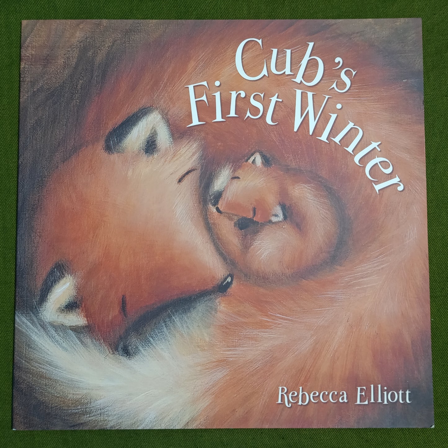 Cubs First Winter
