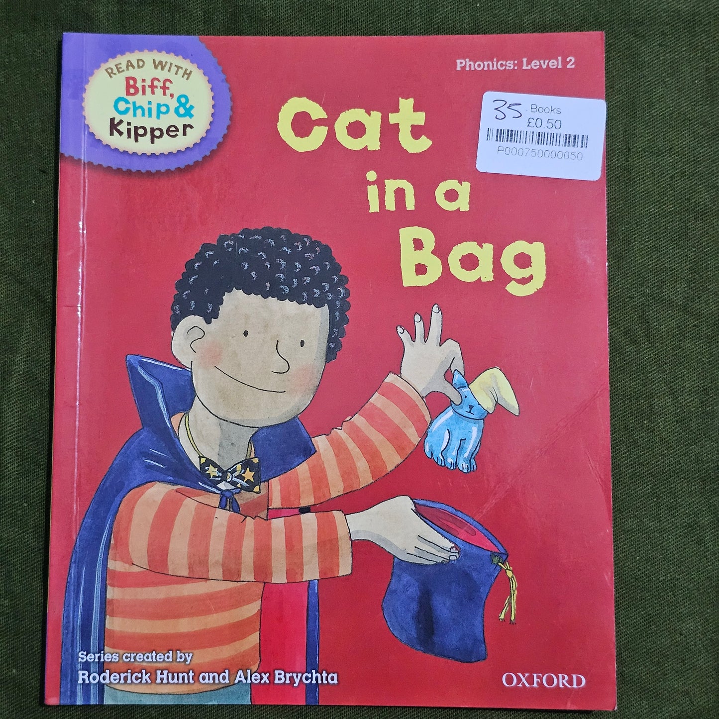 Cat in a bag