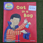 Cat in a bag