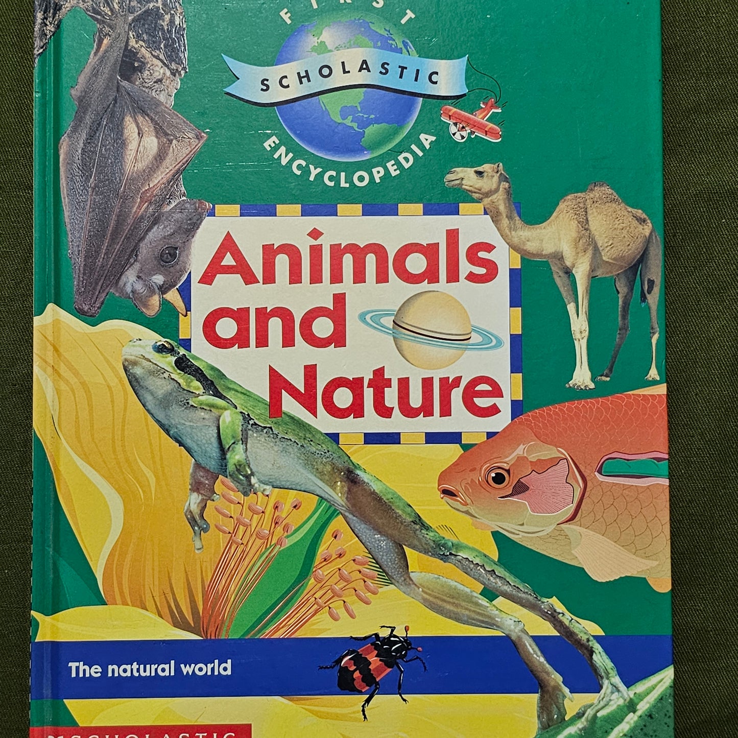 Animals and Nature