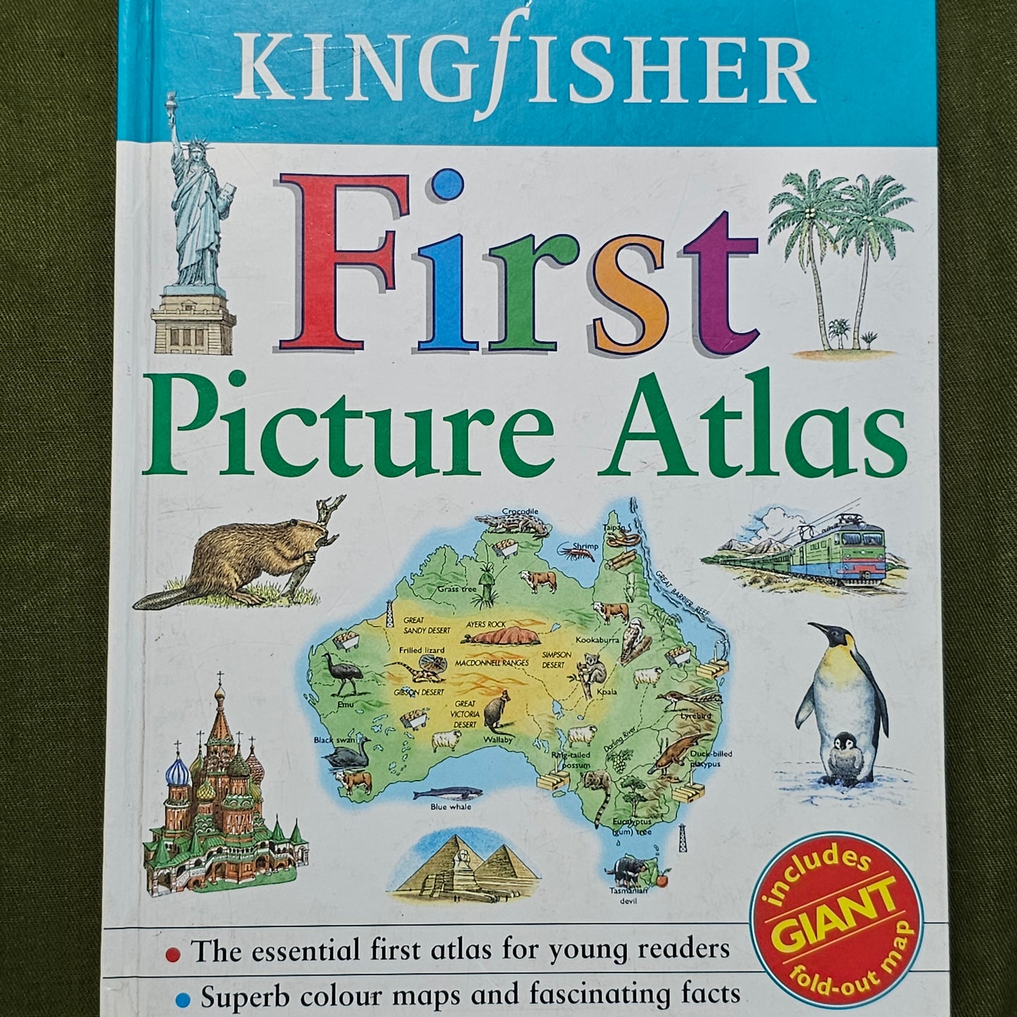 First Picture Dictionary