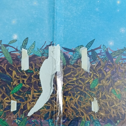 The Best Nest