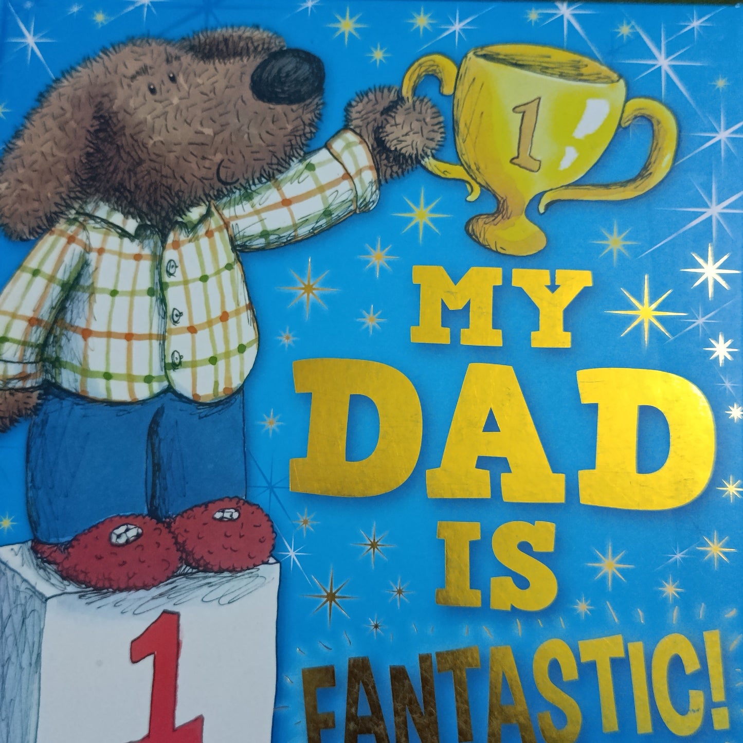MY DAD IS FANTASTIC