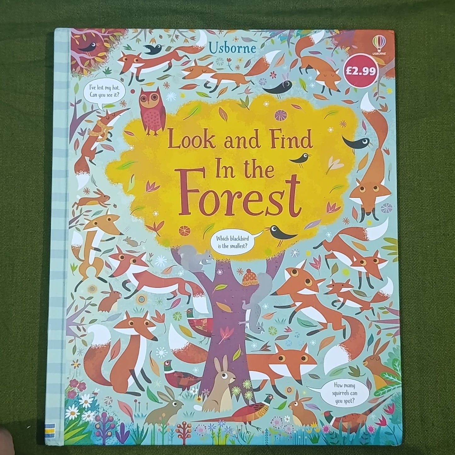 Look and Find in the Forest