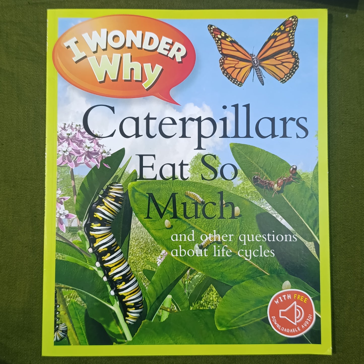 Caterpillars Eat So Much