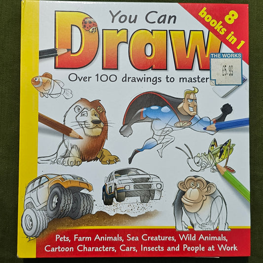 You Can Draw Over 100 Drawing to Master