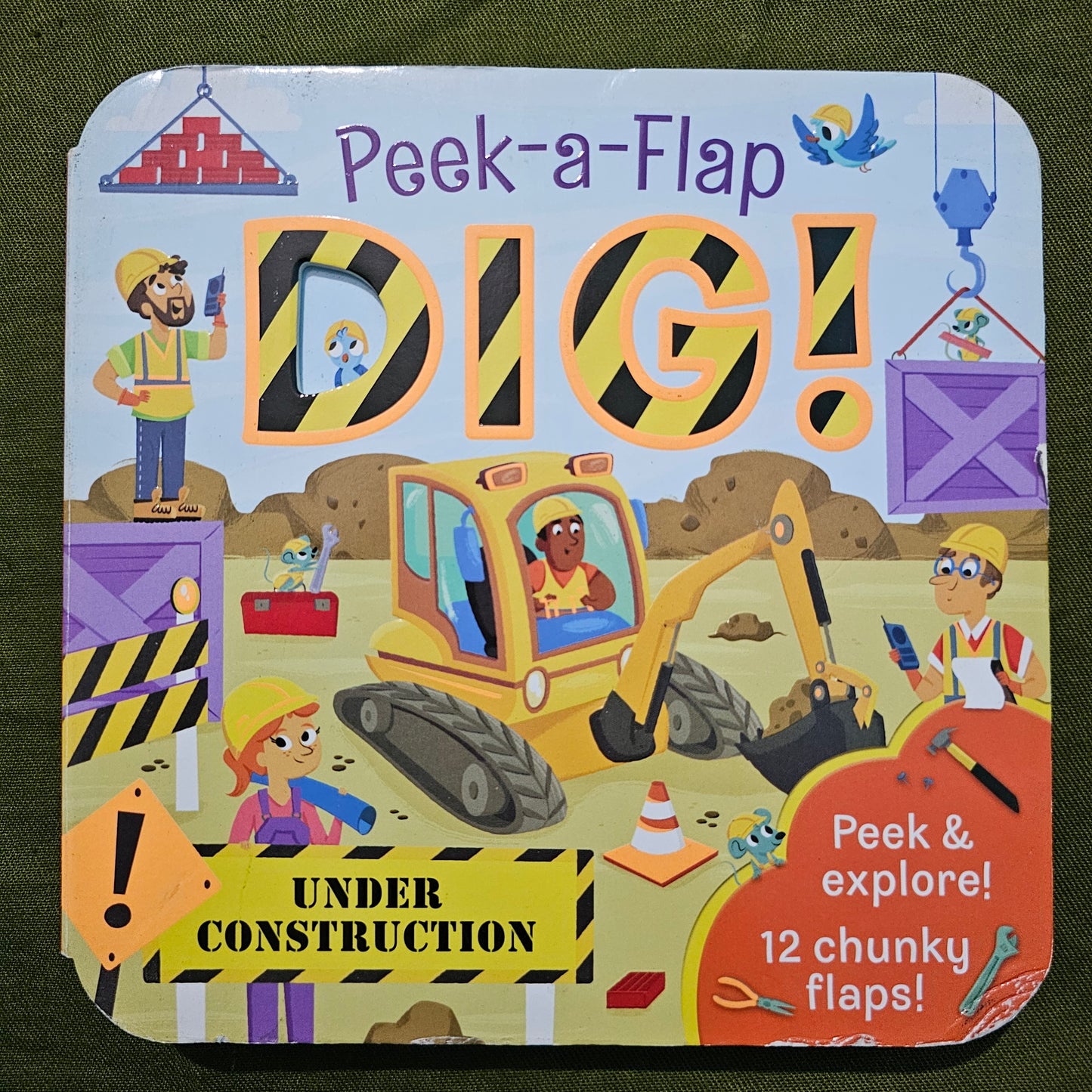 Peek-a-Flap Dig!