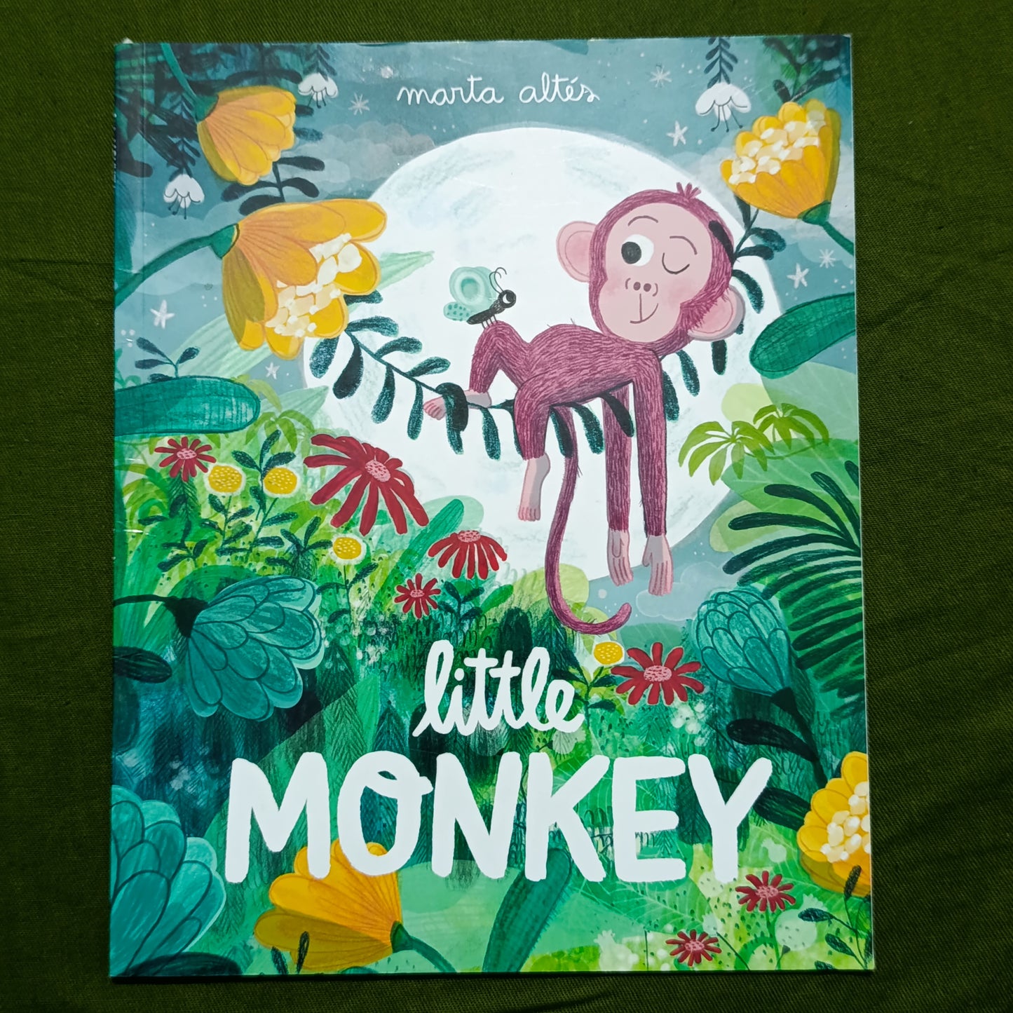 Little Monkey