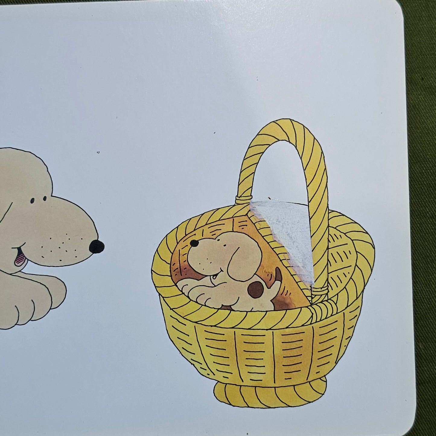 Where spot? (Flip Flap)