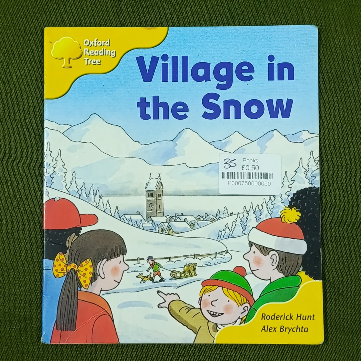 Village in the snow