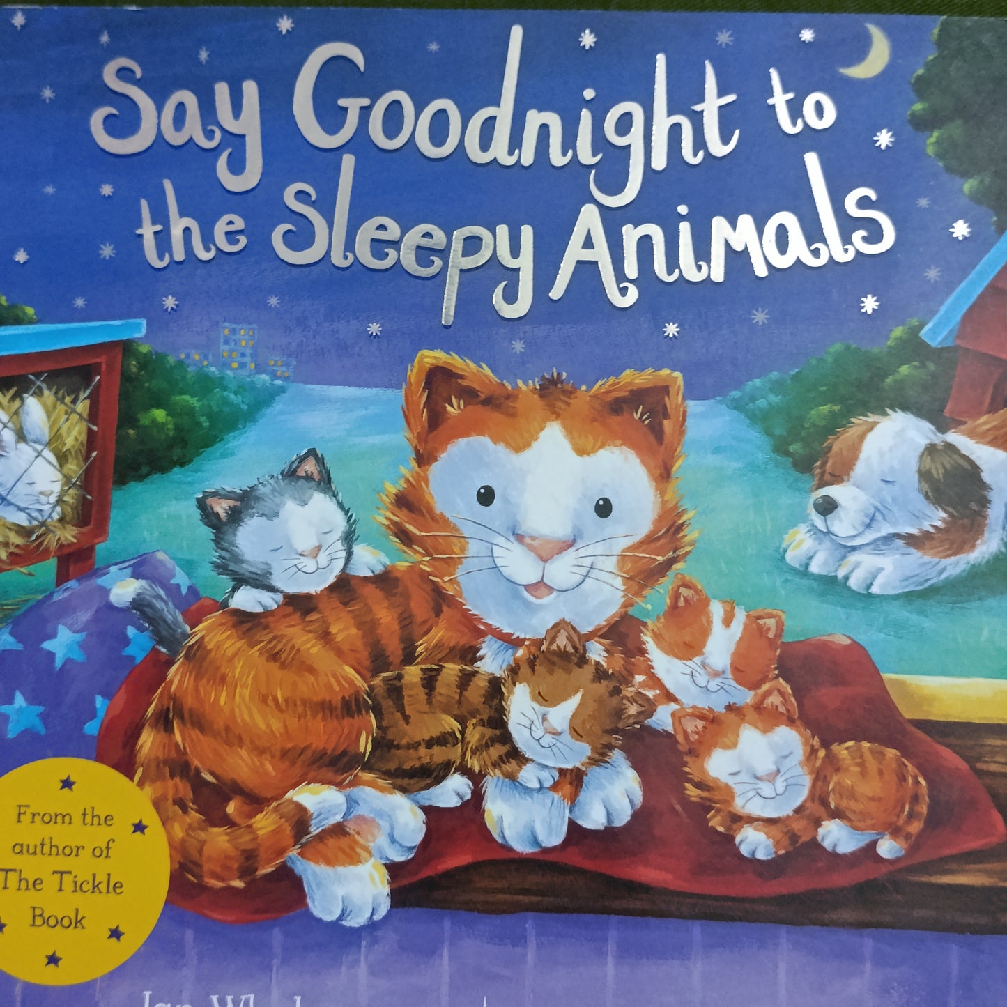 Say Goodnight to the Sleepy Animals