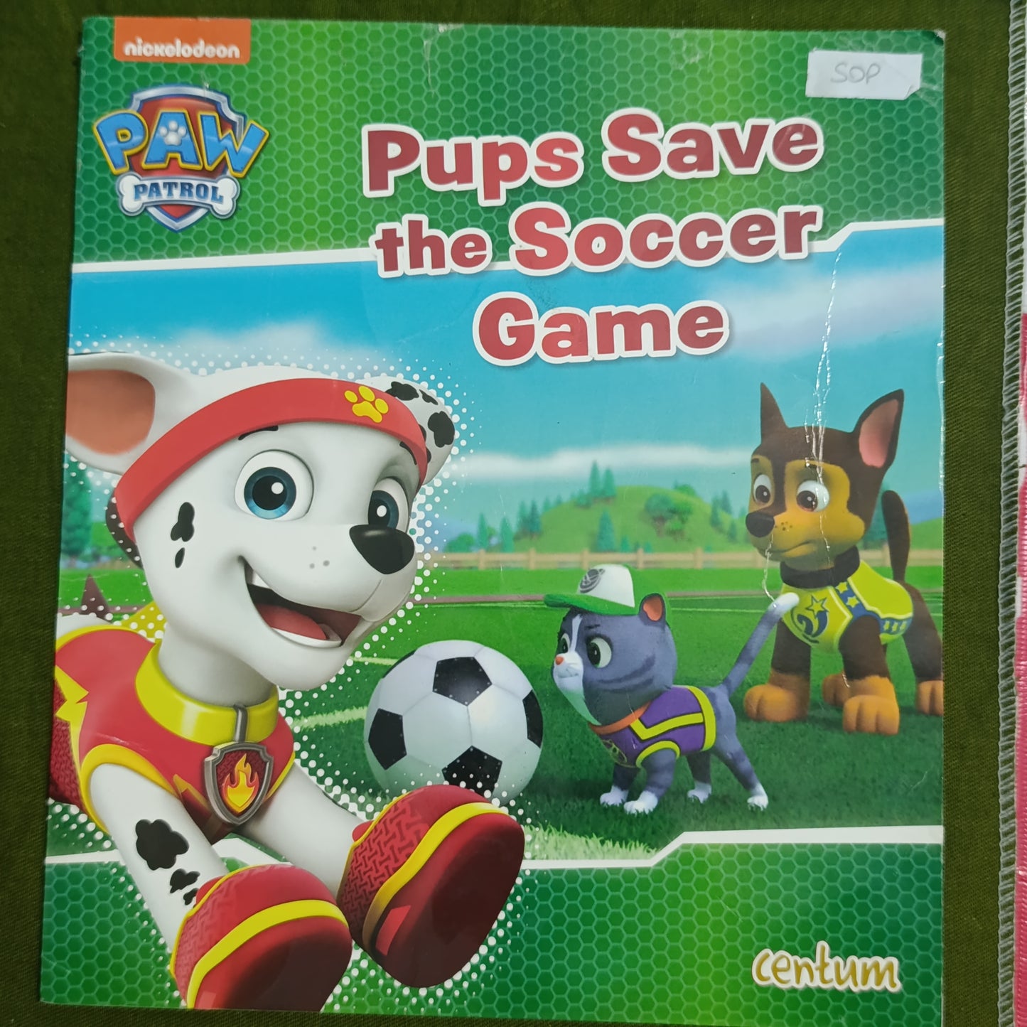Pups save the soccer game