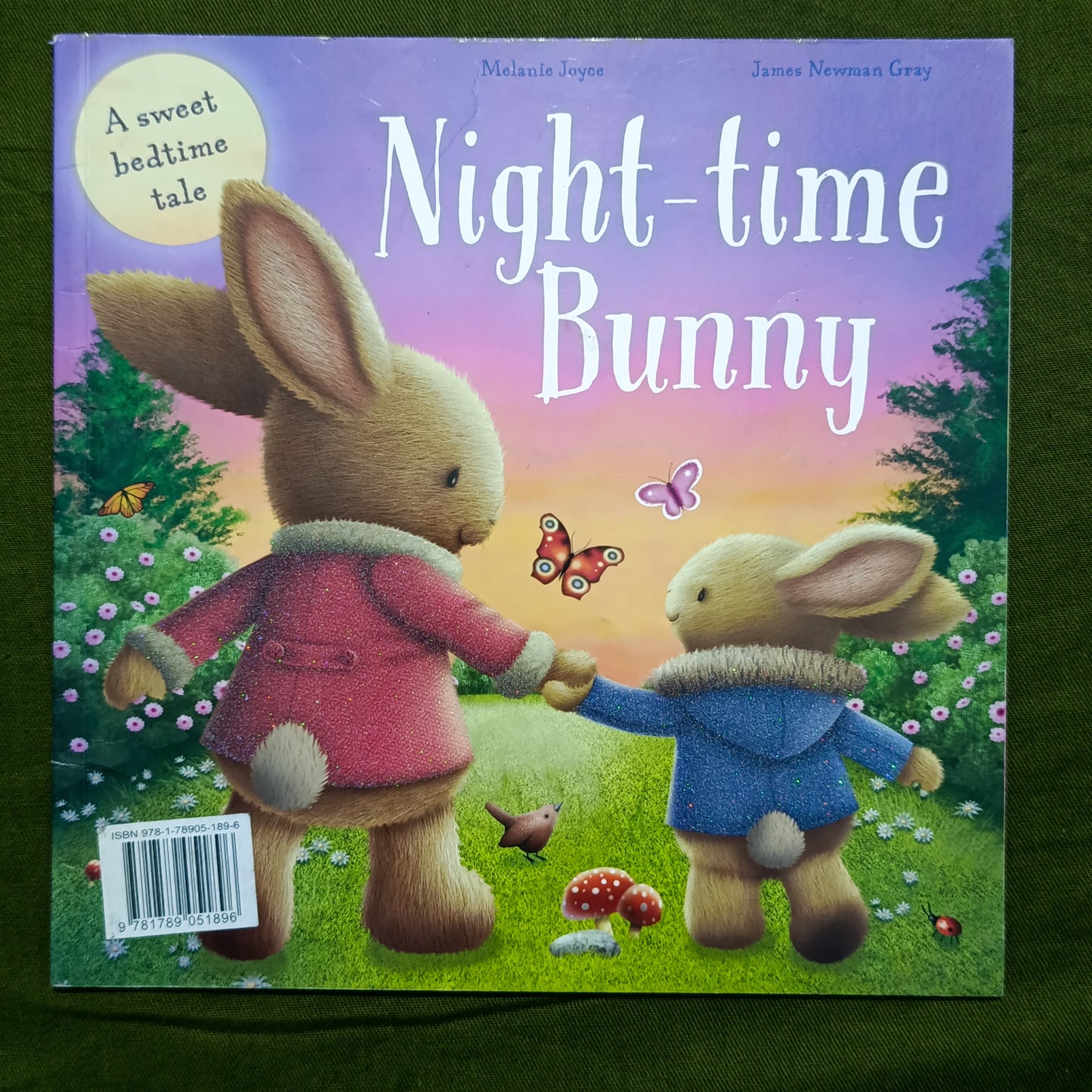 Night Time Bunny