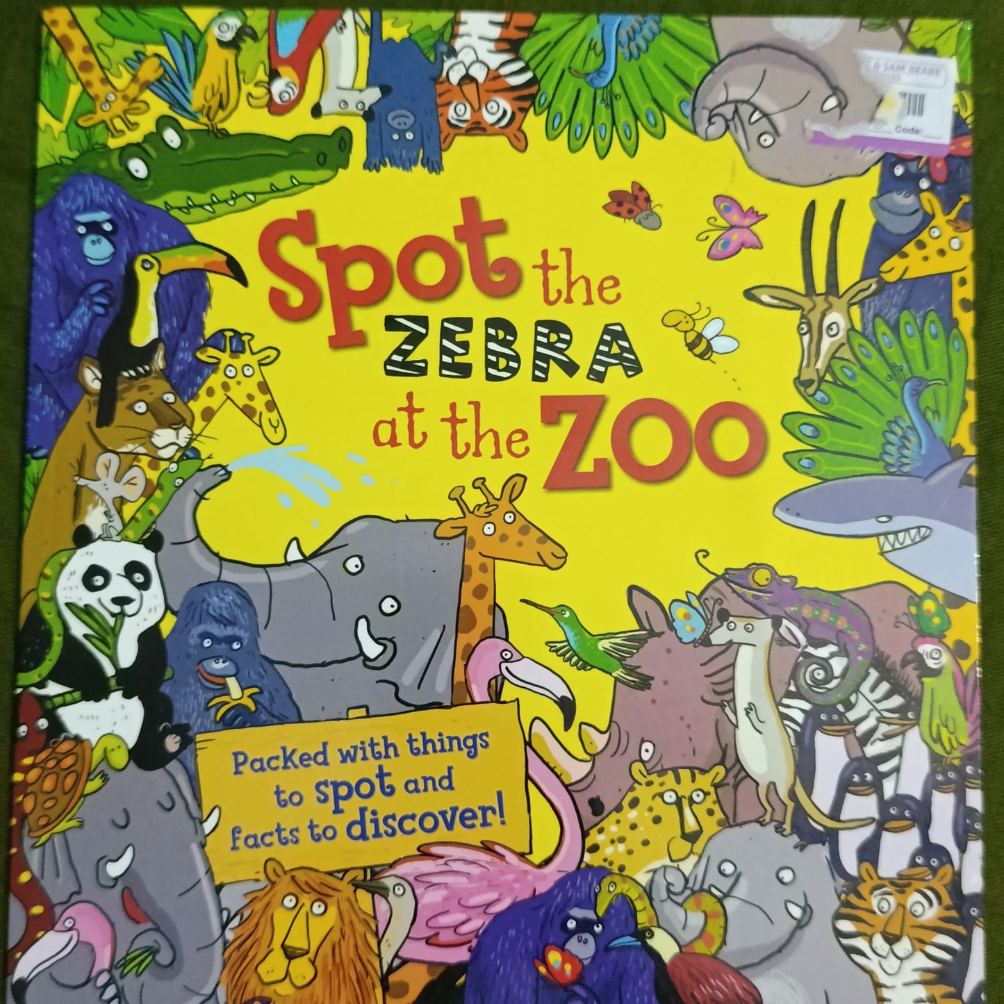 Spot. The zebra at the zoo