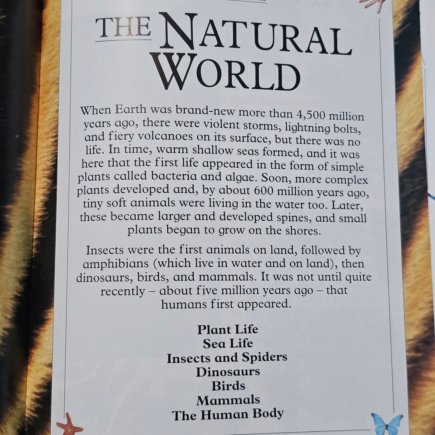 The Big Book Of Knowledge