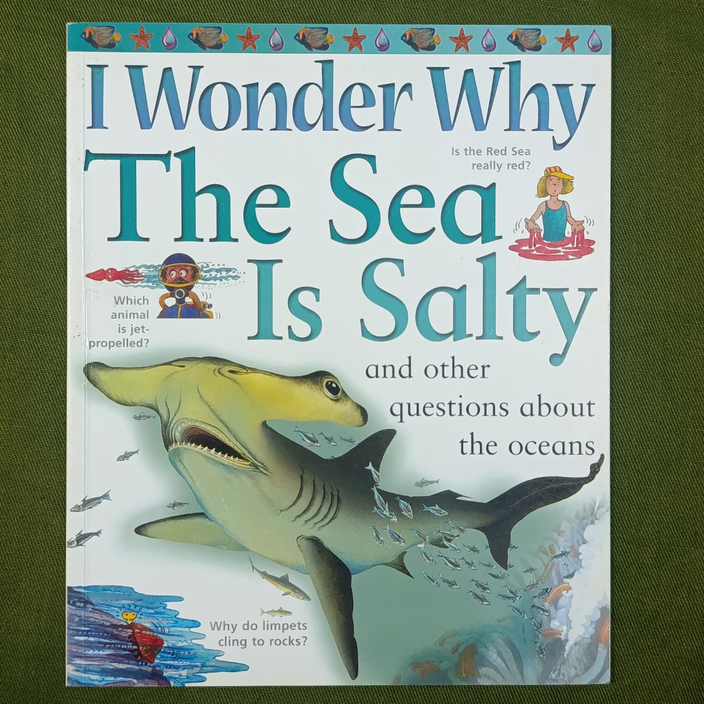 I wonder why the sea is salty